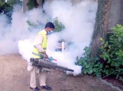 pindi ramps up fight against dengue pindi ramps up fight against dengue