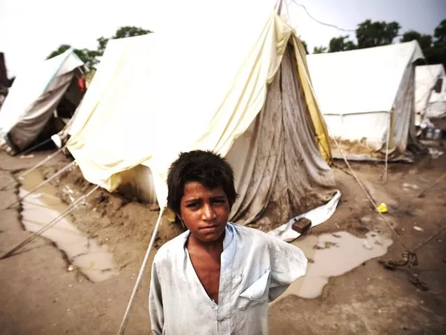 50 pakistanis remain food insecure wfp 50 pakistanis remain food insecure wfp