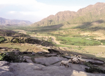 in hamlet with zero literacy the only form of education is offered by the school of life