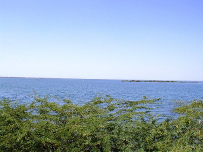 keenjhar lake scare scientist suspects explosion caused release of toxins that killed animals keenjhar lake scare scientist suspects explosion caused release of toxins that killed animals