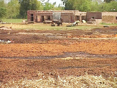 bad neighbour environmental tribunal to take up pollution complaint