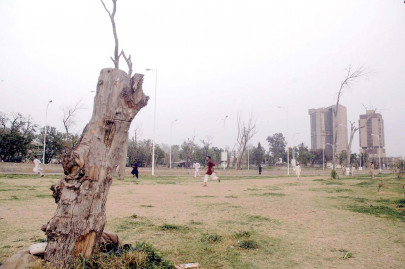 putting down roots over 200 trees planted in dmc south s sports academy
