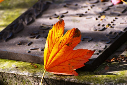 thoughts about mortality can improve health