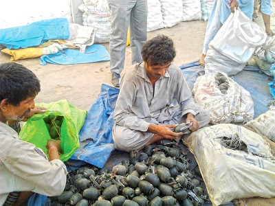 missing munition police ask labourers to count a grenade for the team