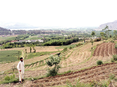 stuck in prehistory yet satisfied