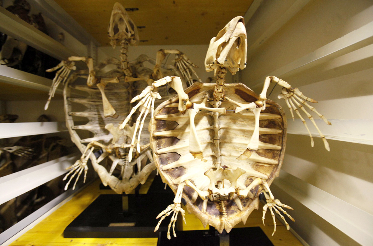 Updated Apr 24, 2012