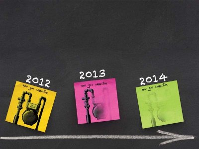 restricting supply ministry proposes blanket ban on new gas connections