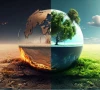 moot urges urgent climate action