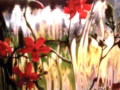 photo exhibit seizing wilderness from behind the lens photo exhibit seizing wilderness from behind the lens