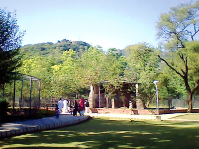 missing facilities zoo without resources to chop saheli up