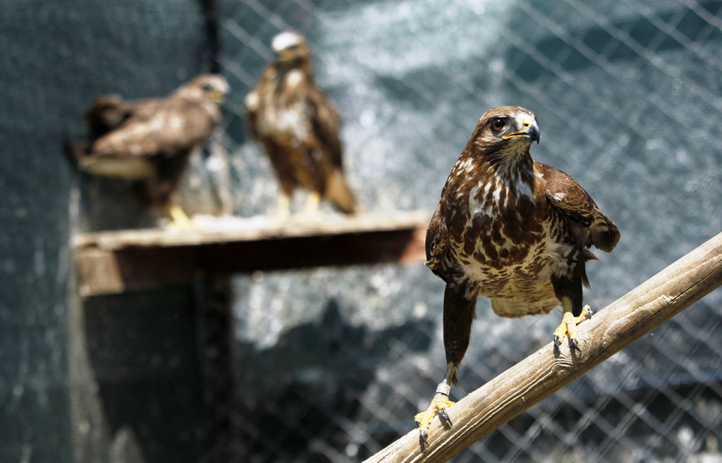 Updated May 04, 2012