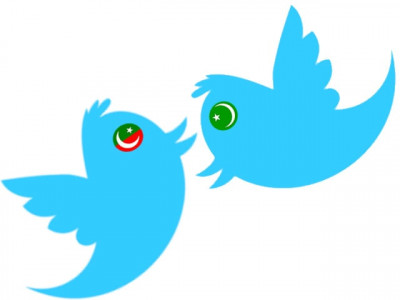 twitter alert burnol for pml n vs pity for pti