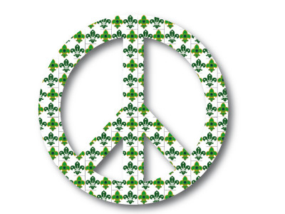 exchange programme boy scouts welcome their indian counterparts