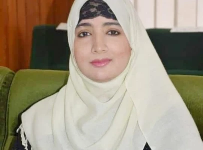 pml n lawmaker calls for national consensus among political forces state institutions pml n lawmaker calls for national consensus among political forces state institutions