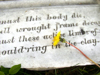 german man has last laugh with new home obituary