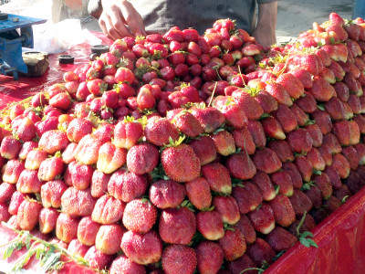 sweet delight with the arrival of spring in swat sale of strawberries on the rise sweet delight with the arrival of spring in swat sale of strawberries on the rise