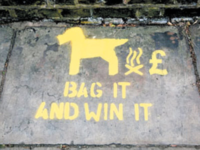 taiwan city to offer dog poop lottery