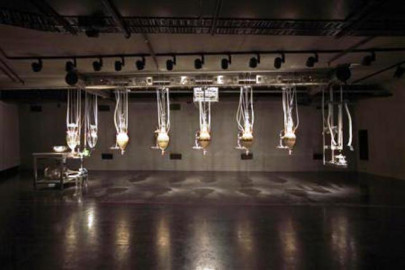 shock seekers snap up new aussie art dare