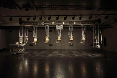 adult disneyland attraction the poo machine