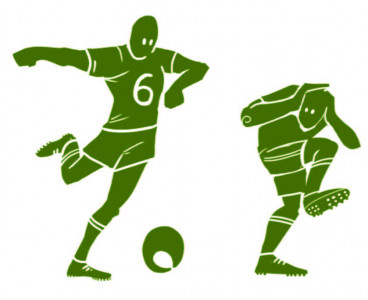 english premier league for dummies english premier league for dummies