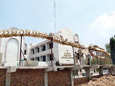 world museum day making the past relevant