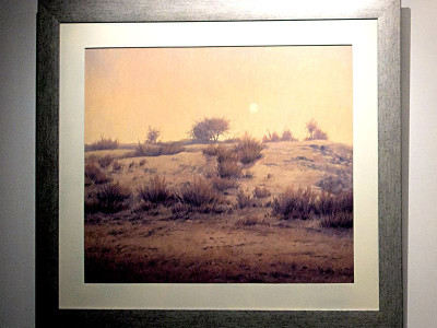 vivid vistas an ode to the striking beauty of nature vivid vistas an ode to the striking beauty of nature