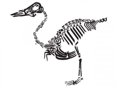 as world celebrates diversity pakistan dishonours it as world celebrates diversity pakistan dishonours it