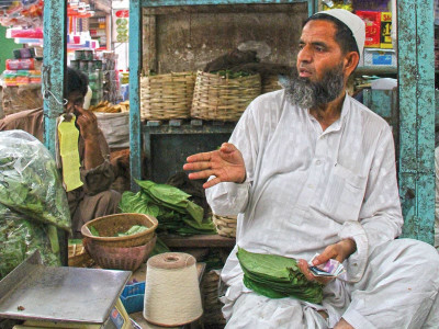 post prandial delights don t chew just because it looks cool post prandial delights don t chew just because it looks cool