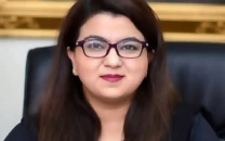 govt eyes 4 5b it exports