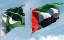 govt denies uae targeting pakistanis