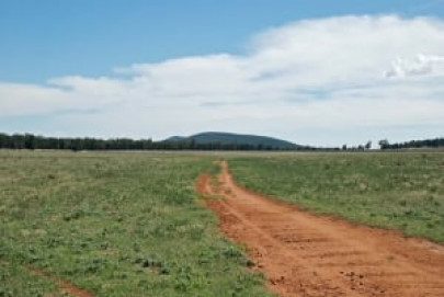 land reforms food sovereignty should trump food security says speakers