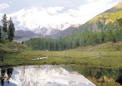 world anti terrorism day to foster peace civil society calls for rehabilitating war torn swat