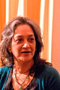 internet governance to give right of access to everyone un special rapporteur cultural rights