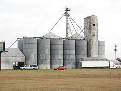 wheat exports to iran india pushes to take pakistan s place