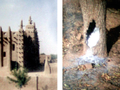 exhibition a traveller screens shares his experiences