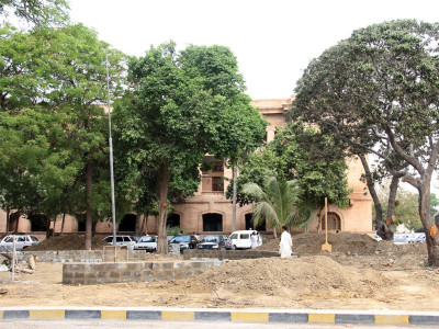 concrete jungle as courts go green trees vanish from shc