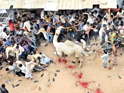 nppa pakistani photojournalist bags an honourable mention nppa pakistani photojournalist bags an honourable mention