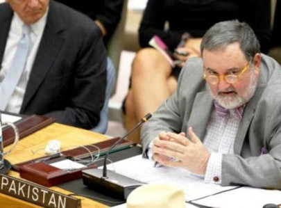 nam members to approach unsc for palestine visit