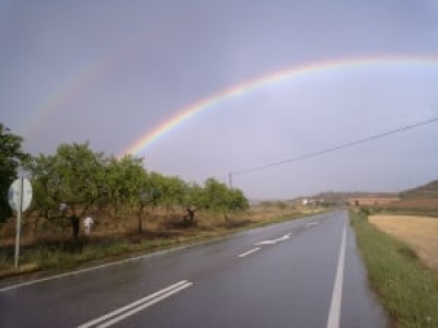 ogra proposes ban on gas connections for cng stations ogra proposes ban on gas connections for cng stations