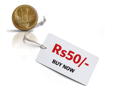 wild goose chase the real worth of one rupee