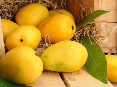 govt mulls special package to boost mango exports