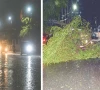 rain related incidents claim 16 lives rain related incidents claim 16 lives
