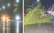 rain related incidents claim 16 lives