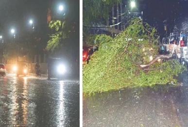 rain related incidents claim 16 lives
