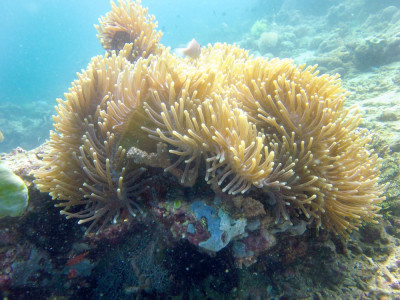 australia creates world s biggest marine park bans drilling australia creates world s biggest marine park bans drilling