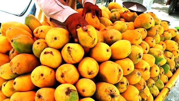 pakistan loses iran s mango market