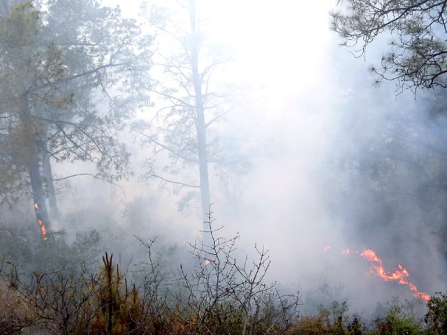 another fire breaks out on margallas another fire breaks out on margallas