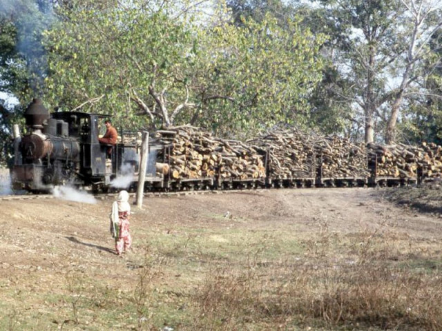 75 of changa manga wiped clean of trees 75 of changa manga wiped clean of trees