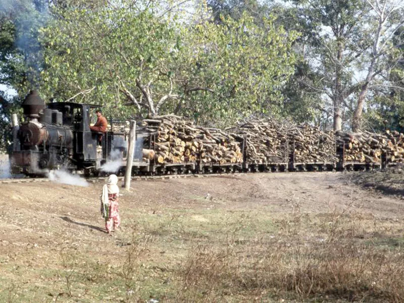 75 of changa manga wiped clean of trees 75 of changa manga wiped clean of trees