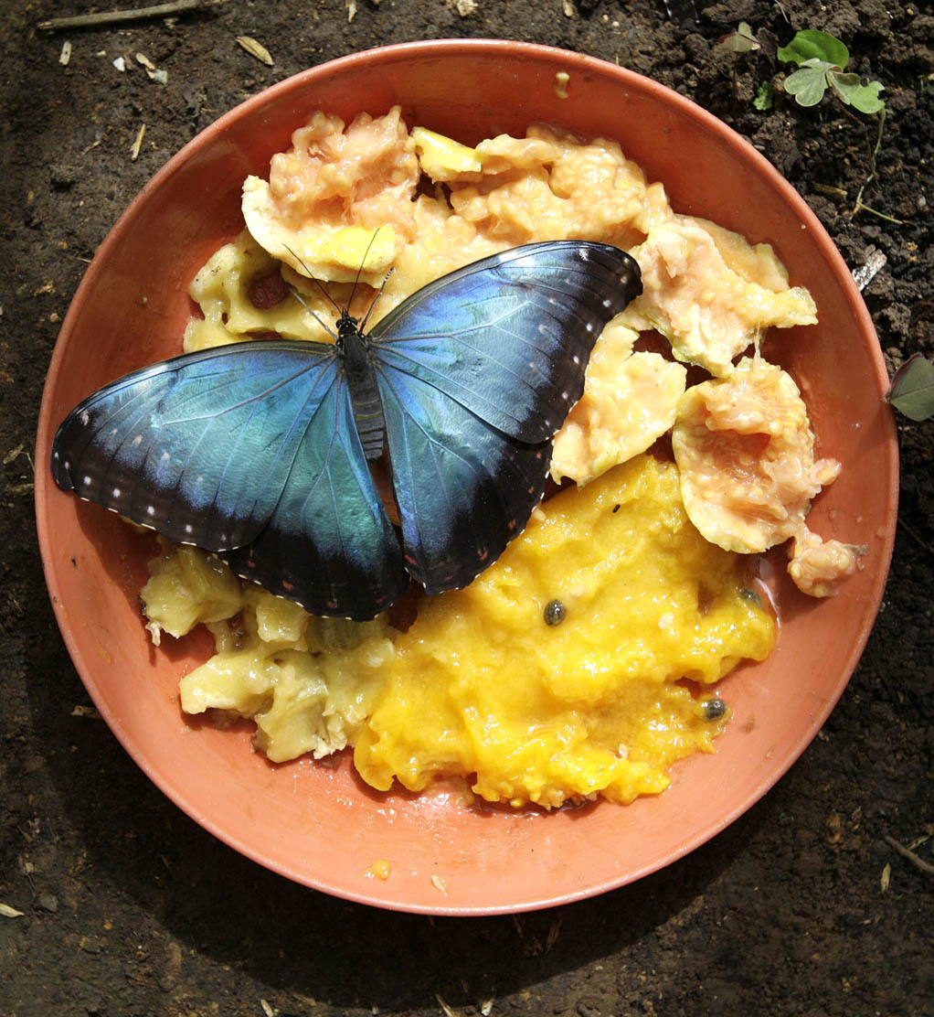 Updated Jun 23, 2012